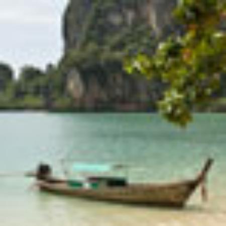 O Fine Japanese Cuisine